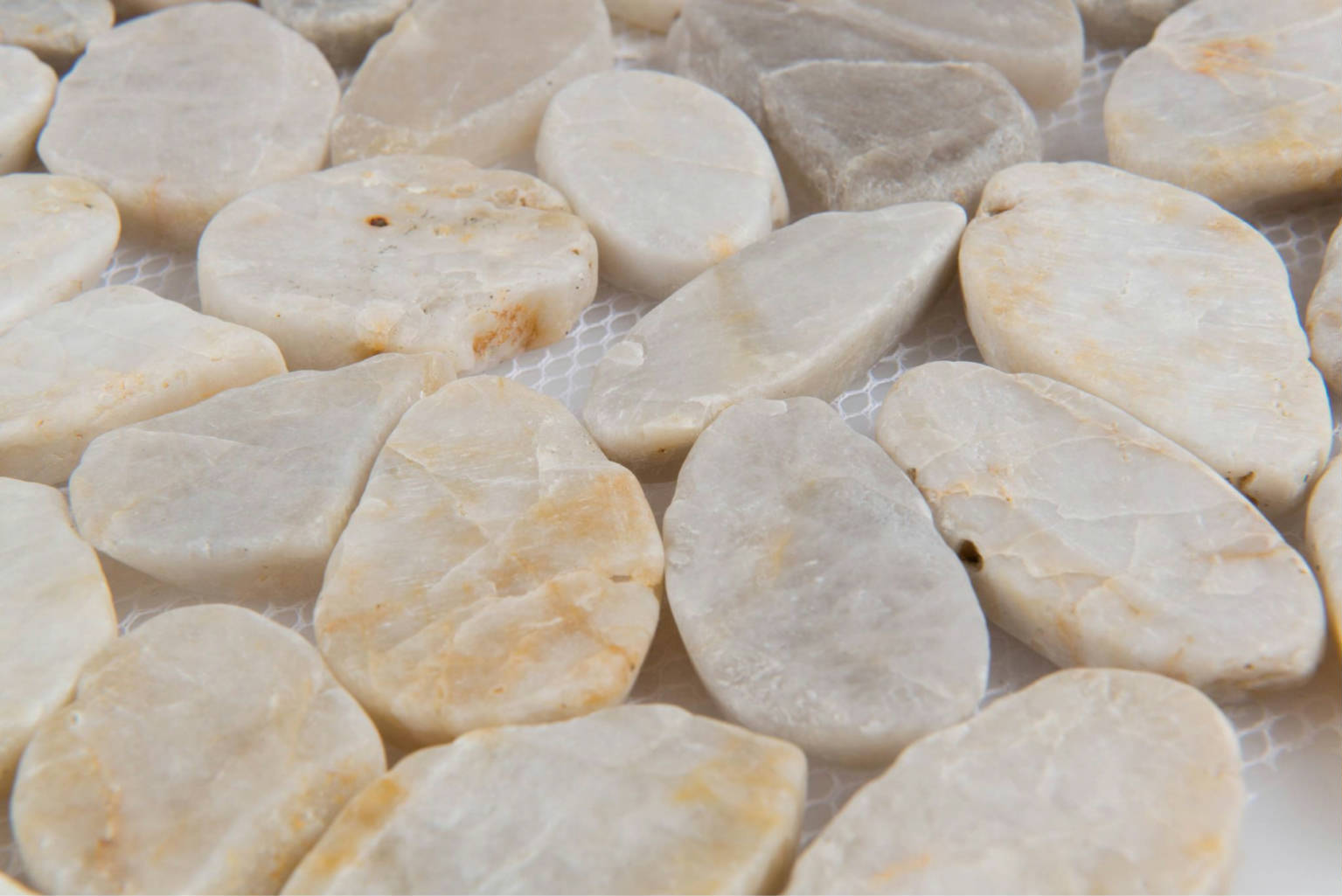 12X12 Flat Fiji Cream | Gramercy Kitchen and Bath