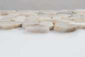 12X12 Flat Fiji Cream | Gramercy Kitchen and Bath