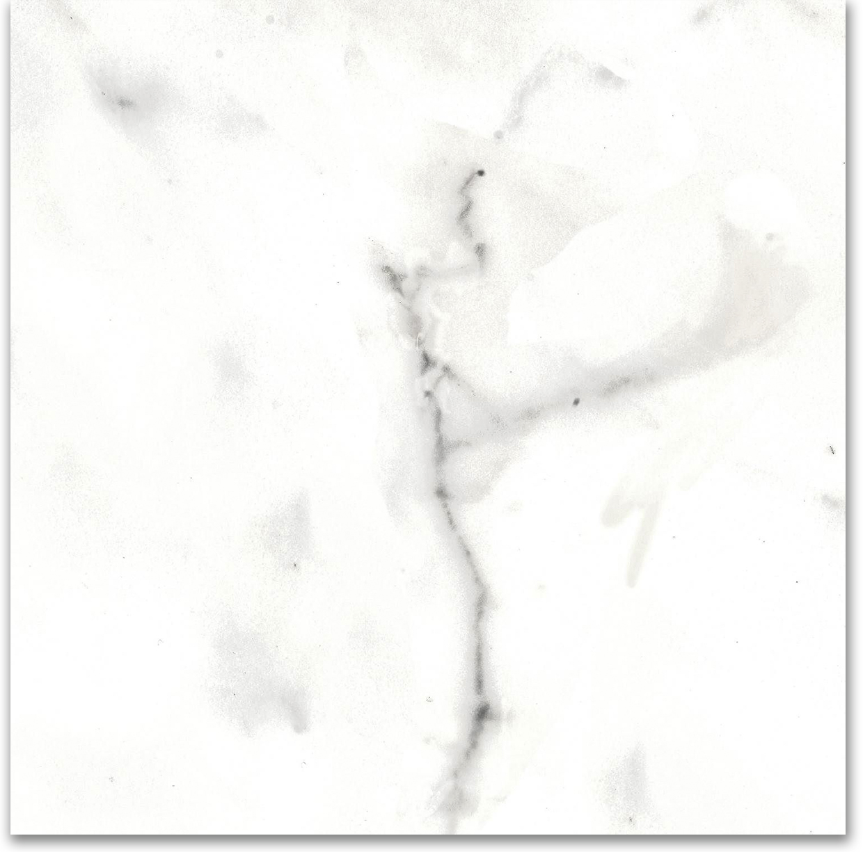 12X12F Calacatta | Gramercy Kitchen and Bath