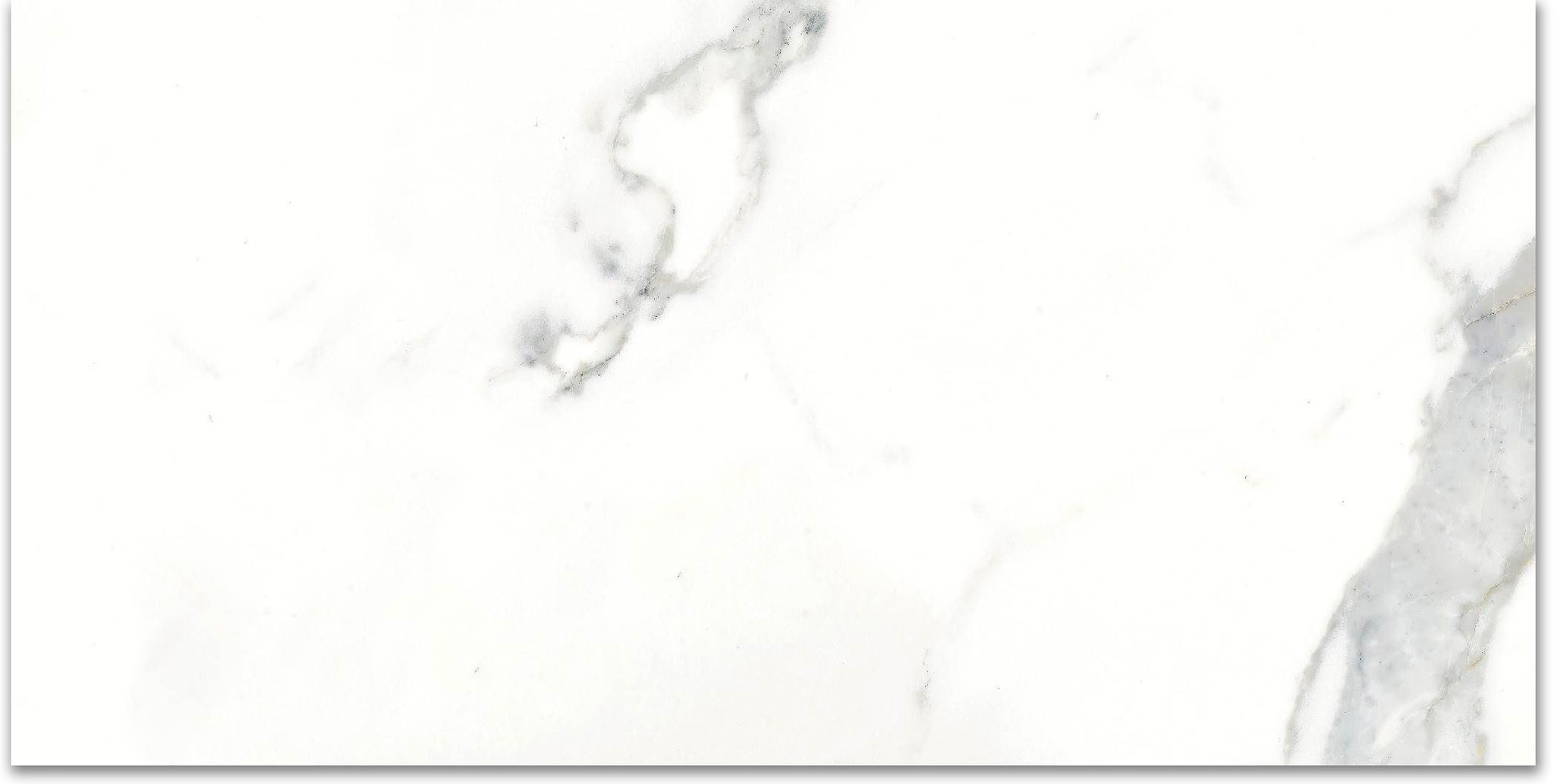 12X24F Calacatta | Gramercy Kitchen and Bath