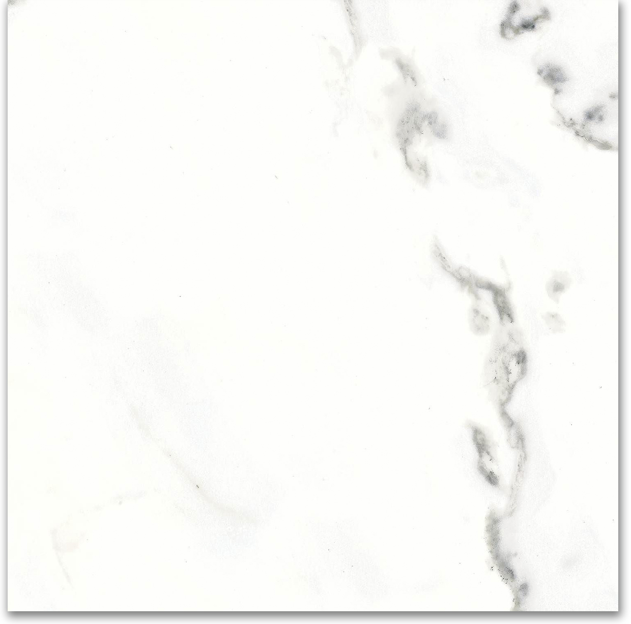 18X18F Calacatta | Gramercy Kitchen and Bath