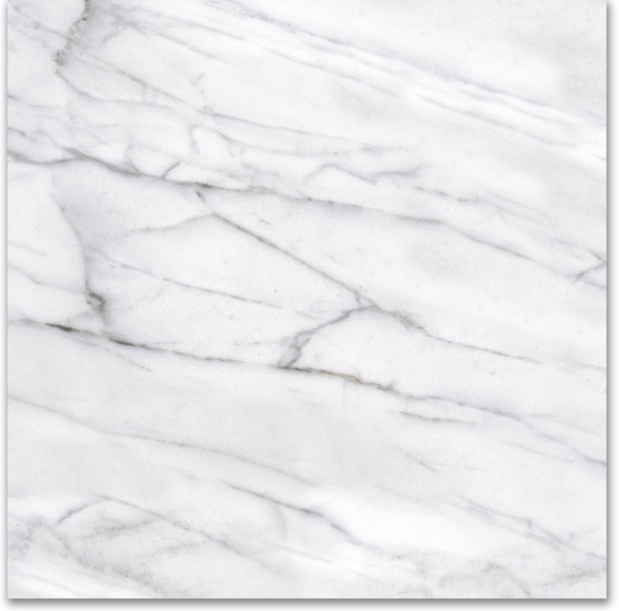 18X18F Carrara | Gramercy Kitchen and Bath