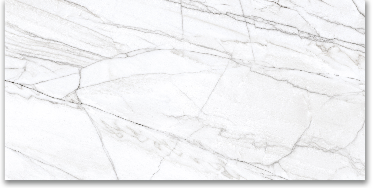 24X48 Matte Glamour White | Gramercy Kitchen and Bath