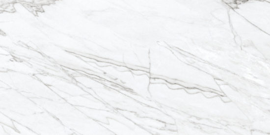 24X48 Matte Glamour White | Gramercy Kitchen and Bath