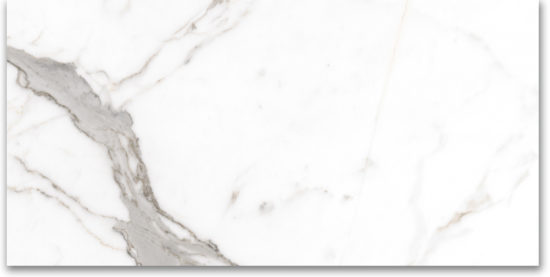 24X48 Polished Amore Grey | Gramercy Kitchen and Bath