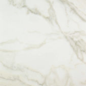 Amalfi Calacatta Honed 32X32 | Gramercy Kitchen and Bath