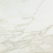 Amalfi Calacatta Polished 24X24 | Gramercy Kitchen and Bath
