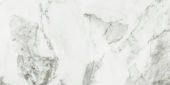 Arabescato Verona Honed 12X24 | Gramercy Kitchen and Bath