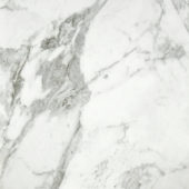 Arabescato Verona Honed 24X24 | Gramercy Kitchen and Bath
