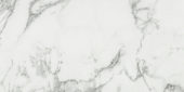 Arabescato Verona Honed 24X48 | Gramercy Kitchen and Bath
