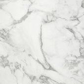 Arabescato Verona Honed 32X32 | Gramercy Kitchen and Bath