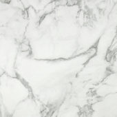 Arabescato Verona Polished 24X24 | Gramercy Kitchen and Bath
