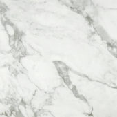 Arabescato Verona Polished 24X24 | Gramercy Kitchen and Bath