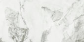 Arabescato Verona Polished 24X48 | Gramercy Kitchen and Bath