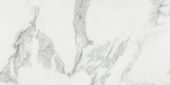 Arabescato Verona Polished 24X48 | Gramercy Kitchen and Bath