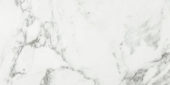 Arabescato Verona Polished 24X48 | Gramercy Kitchen and Bath