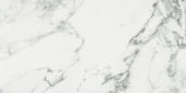Arabescato Verona Polished 24X48 | Gramercy Kitchen and Bath