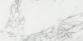 Arabescato Verona Polished 24X48 | Gramercy Kitchen and Bath