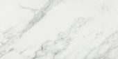 Arabescato Verona Polished 24X48 | Gramercy Kitchen and Bath