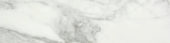 Arabescato Verona Polished 3X12 Bullnose | Gramercy Kitchen and Bath