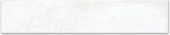 Arctic Super White 2X10W | Gramercy Kitchen and Bath