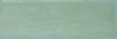 Aruba Moss Gloss 2x6 | Gramercy Kitchen and Bath