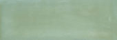 Aruba Moss Gloss 2x6 | Gramercy Kitchen and Bath