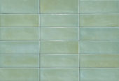 Aruba Moss Gloss 2x6 | Gramercy Kitchen and Bath