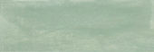 Aruba Moss Matt 2x6 | Gramercy Kitchen and Bath