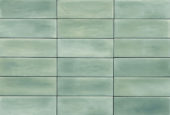 Aruba Moss Matt 2x6 | Gramercy Kitchen and Bath