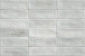 Aruba Silver Matt 2x6 | Gramercy Kitchen and Bath