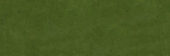 Barcelona 2x6" Olive | Gramercy Kitchen and Bath