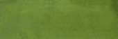 Barcelona 2x6" Olive | Gramercy Kitchen and Bath