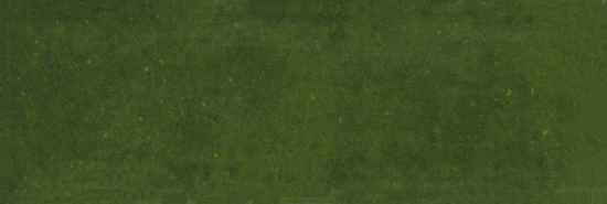 Barcelona 2x6" Olive | Gramercy Kitchen and Bath