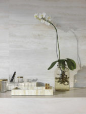 Bianco Navona Matte 12X24 | Gramercy Kitchen and Bath