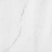 Bianco Venatino 12x12 Polished | Gramercy Kitchen and Bath