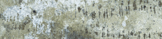 Brix 2x10 Mud | Gramercy Kitchen and Bath