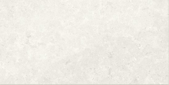 Denver 12X24F Pearl Matte