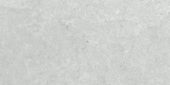 Denver 12X24F Platinum Matte | Gramercy Kitchen and Bath