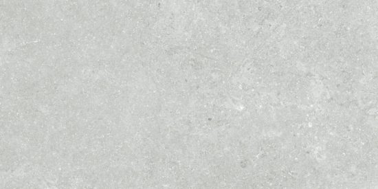 Denver 12X24F Platinum Matte | Gramercy Kitchen and Bath