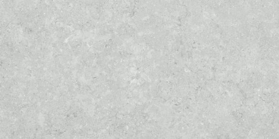 Denver 12X24F Platinum Matte | Gramercy Kitchen and Bath