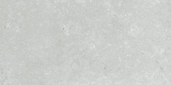 Denver 12X24F Platinum Matte | Gramercy Kitchen and Bath