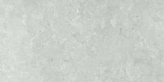 Denver 12X24F Platinum Matte | Gramercy Kitchen and Bath