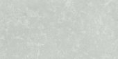 Denver 12X24F Platinum Matte | Gramercy Kitchen and Bath