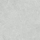 Denver 20X20F Platinum Matte | Gramercy Kitchen and Bath