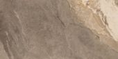 Dynasty Taupe 12X24 | Gramercy Kitchen and Bath