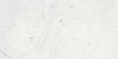 Eterna Bianco 18x36 Honed | Gramercy Kitchen and Bath