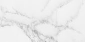 Florence 12X24F Bianco Matte | Gramercy Kitchen and Bath