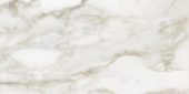 Florence 12X24F Calacatta Matte | Gramercy Kitchen and Bath