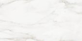 Florence 12X24F Calacatta Matte | Gramercy Kitchen and Bath